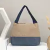 Nuevo bolso multiusos para mujer, bolso de lona, bolso de almuerzo de gran capacidad, bolso de tela pequeño, bolso momia