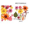 Bolsa de Flores Secas para Manualidades con Flores en Relieve, Marcapáginas de Flores en Relieve, Bolsa de Flores en Relieve, Material para Pintura en Relieve, Pegamento para Flores Reales, Hojas Secas