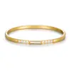Pulsera de Acero de Titanio Bicolor Oro y Acero, Banda Fina Incrustada con Diamantes, Lujo Ligero. Diseño Único Segmentado de Diamante Completo, No Repetitivo y Versátil