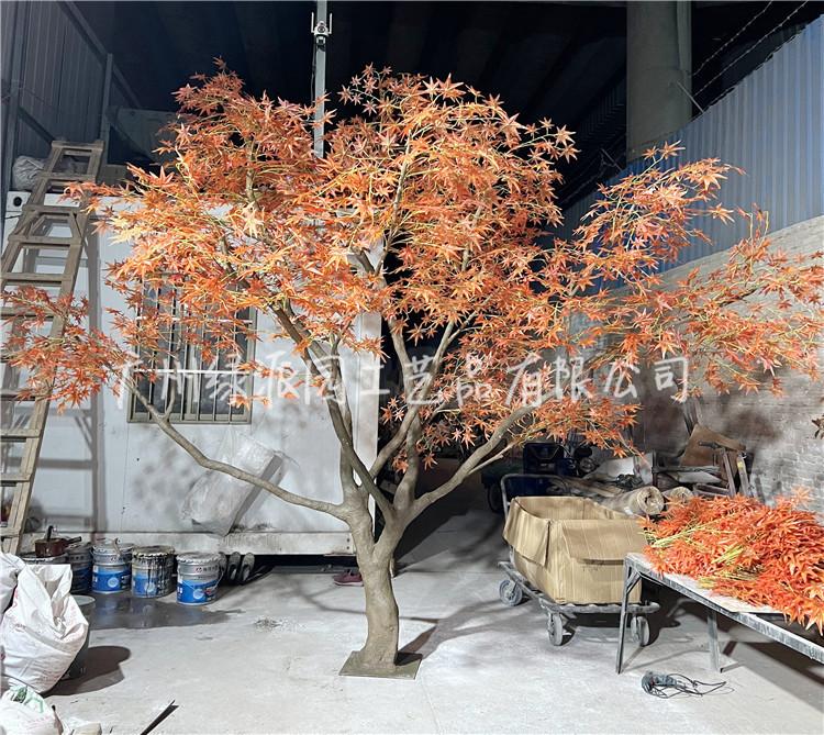 枫树红枫树绿枫27.jpg