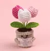 Planta Emocional Maceta Tejida a Crochet Hecha a Mano con Etiqueta en Inglés, Flor Artificial de Lana, Suministro de Regalo Transfronterizo