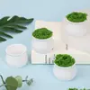 Maceta Hecha a Mano Césped Línea Pp Engrosado Anticaída Mini Maceta de Plástico Redonda Europea Simple Maceta Pequeña Blanca para Bonsái