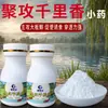 Mil Milhas de Fragrância Pequeno Remédio Pesca Peixe Atrativo Reunindo Pó de Mil Milhas de Fragrância Alimento de Pesca Isca Promotora de Crescimento Fábrica de Iscas Carpa Crucian