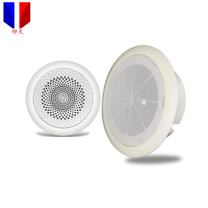 吸顶式扬声器