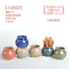 Maceta para pulgar suculenta mini mini maceta para pulgar maceta de cerámica para flores suculentas planta creativa flor pequeña Ma Long mesa Mai Tai Bao