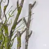 Ornatos Decorativos de Combinação de Galhos e Flores Secas para Paisagismo de Chão, Plantas Verdes para Decoração de Chão de Sala de Estar