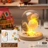 Luz de Noche de Gelatina de Concha de Erizo de Mar Natural Kit de Materiales Hechos a Mano para Bricolaje Adorno Decorativo Regalo para Niños y Novias