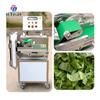 Cortador de verduras multifuncional comercial para frutas, verduras, patatas, rábanos, materiales medicinales, trituradora de gran tamaño con cinta transportadora