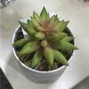 Planta suculenta artificial Buda mão Lótus flor de plástico pequena planta verde bonsai moldura floral diy combinação pequeno pote
