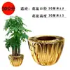 Bolsa para maceta dorada Envasado de maceta con planta verde Papel de envolver para maceta Flor anual Naranja dorado Tela anual Flor anual Apertura Juego de macetas de Navidad Arreglo