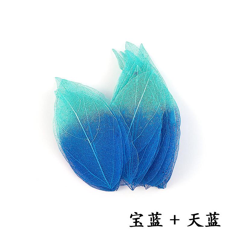 双色金刚叶宝蓝+天蓝.jpg