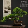 Ornamento de Planta Verde Bonsai Novo Estilo Chinês Decoração de Mesa Entrada Cipreste Beleza Pinheiro Árvore Artificial Paisagem Tamanho Grande