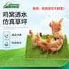 Tapete Lavable para Gallinero Transfronterizo Césped Artificial para Gallinero Caja Nido para Gallinas Forrada con Tapete para Gallinero Plegable Caja de Huevos Césped Artificial