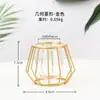 Decoraciones Creativas de Tubos de Ensayo Hidropónicos, Plantas Verdes de Escritorio para Sala de Estar, Micro-Paisajismo, Regalos de Cumpleaños para Amigos, Decoración del Hogar