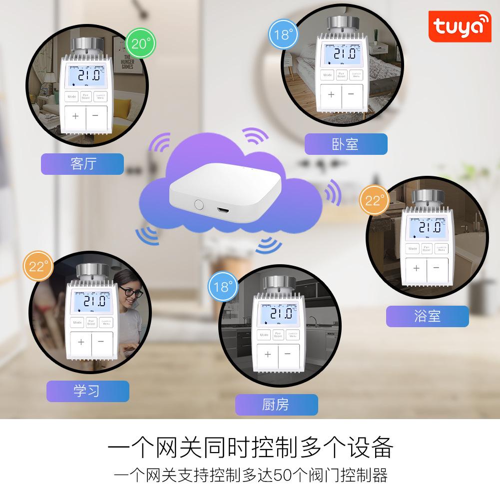 详情7