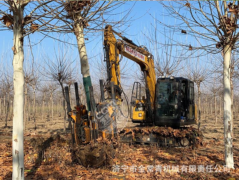 挖树机_19.jpg