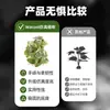 Adornos de Plantas para Reptiles, Caja de Cría, Paisajismo, Plantas Verdes, Plantas Acuáticas Simuladas, Decoración para Acuario, Mimbre de Plástico con Base