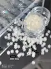 Accesorios de Arte de Uñas con Lentejuelas de Copo de Nieve Navideño Ultradelgados Celebridad de Internet Deslumbrante Lujo Ligero Plata Arena Fina Pegatinas para Uñas Decoración Venta al por Mayor