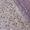 Tejido de Malla con Lentejuelas y Cuentas de Alta Resistencia Encriptado Vestido de Novia Vestido de Noche Tejido para Ropa Ancho de 1.5 Metros Tela de Encaje para Manualidades