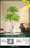 Planta Verde Artificial Nantianzhu, de Gama Alta y Lujo, de Pie, Grande para Interiores y Exteriores, Bonsái de Alta Calidad, Árbol Falso para la Sala de Estar