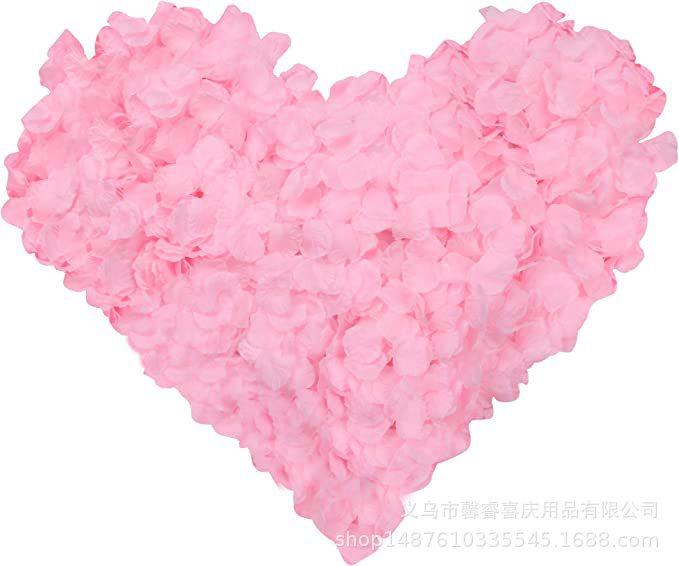 715KFbNchHL._AC_SX679_