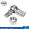 Rodamiento de Rótula Recto con Vástago Curvado Din 71802Cs16-M12 Cs19-M14 Cs19-M14 Rodamiento