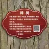 Etiqueta de árvore fixada, etiqueta de flor e grama personalizada etiqueta pendurada etiqueta identificadora de planta acrílica etiqueta de introdução de árvore área cênica jardim parque fruta