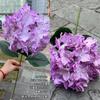 Nueva pintura al óleo hortensia fabricantes de comercio exterior cabeza única hortensia Ross boda camino decoración de fondo flores falsas al por mayor