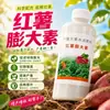 Elemento de expansão de controle de batata-doce calor vermelho anti-rachaduras agente de expansão de rizoma batata batata-doce aumento de rendimento fertilizante foliar atacado