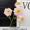 Flores de Clematis, Flores de Cordyceps, Flores Gesang de Cuatro Cabezas, Arte Floral con Gradiente de Dos Tonos, Decoraciones de Boda en el Jardín de Monet, 15 Colores Disponibles