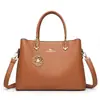 2026 Bolso Nuevo Bolso Tote de Gran Capacidad Bolso para Mujeres de Mediana Edad Bolso Cruzado para Madres Bolso de Mano de Moda Simple