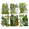 Pacote Combinado de 12 Folhas Verdes Pacote de Material de Folha Espécime de Folha Real Material de Planta com Flor Marcador de Página Folha DIY