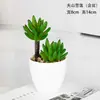 Plantas Verdes Simples Suculentas de Plástico em Vaso Ornamento para Sala de Estar Mesa de Jantar Flores Artificiais Decorações Ornamento Flores Biomórficas