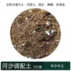 Terra Nutritiva Carnuda Plantio de Vegetais Cultivo de Flores Solo Universal para Plantio de Flores Solo Respirável para Plantio de Flores Perlite Doméstica Alho-poró