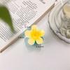 Atacado Europeu e Americano Transfronteiriço Presilha de Cabelo Flor de Ovo Presilha de Cabelo Bauhinia Moda Feminina Presilha de Tubarão de Alta Qualidade Joias