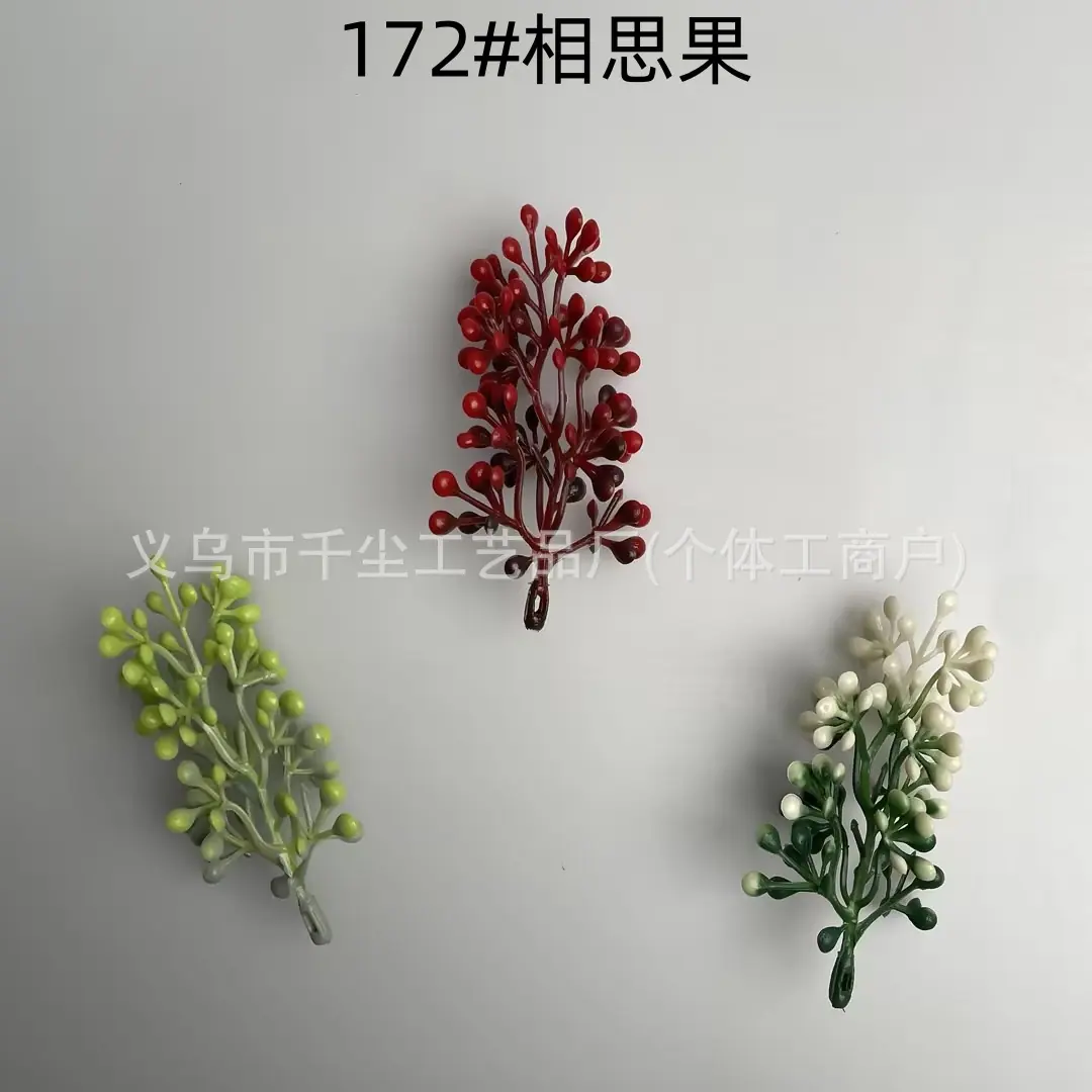 172#相思果.jpg