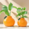 Vaso de flor hidropônico criativo de planta verde cultivada em água laranja para sala de estar, mesa de escritório, decoração de mesa de escritório, ornamento, vaso, arranjo de flores, cultivo em água