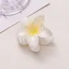 Grampos de Cabelo de Plumeria Coloridos Europeus e Americanos Transfronteiriços, Presilhas de Flor Gradiente de Alta Qualidade, Presilhas de Tubarão para Rabo de Cavalo na Parte de Trás da Cabeça