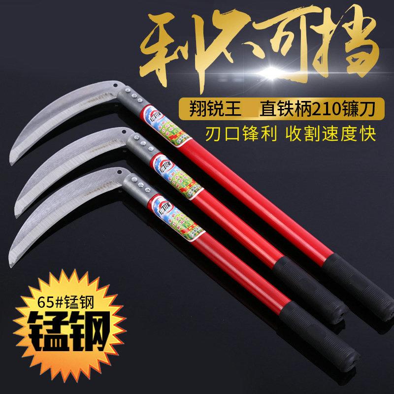 4849368321_251758656