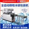 Máquina Automática de Bolsas de Hielo sin Agua de Doble Succión Haoyuan para Té de Leche, Frutas y Verduras, Comercio Electrónico, Entrega Express, Materiales de Cadena de Frío y Bolsas de Hielo Biológicas