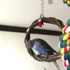 Juguete para Loro Anillo Colgante Columpio para Pájaro Anillo Tejido de Rama de Manzana Soporte para Pájaro Anillo de Ratán Juguete para Masticar Jaula para Pájaros