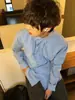 Camisa de Cor Sólida com Gola de Lapela, Botões Únicos, Corte Solto, Patchwork de Ruffles, Design de Nicho de Luxo Leve Estilo Coreano, Nova para Primavera e Outono