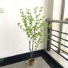 Enfeites de Decoração para Casa Nórdica, Árvore de Sino Artificial para Pendurar Plantas em Vasos, Paisagismo Moderno, Arbustos Artificiais de Buxo, Atacado do Fabricante