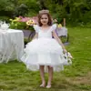 Vestido de princesa de malla con mangas voladoras para niñas de Amazon, vestido de princesa con falda de pastel y cola de sirena