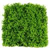 Paisagem com Musgo Veludo Curto Musgo Musgo Fresco Semente em Vaso Rocha para Pavimentação Jardim de Pedras Paisagem em Microescala Tanque Ecológico Planta para Paisagismo