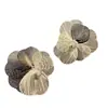 Pendientes Exagerados de Flor con Aguja de Plata Estilo Nuevo 2026, Perlas de Botón, Diseño de Nicho, Pendientes Elegantes para la Alta Sociedad