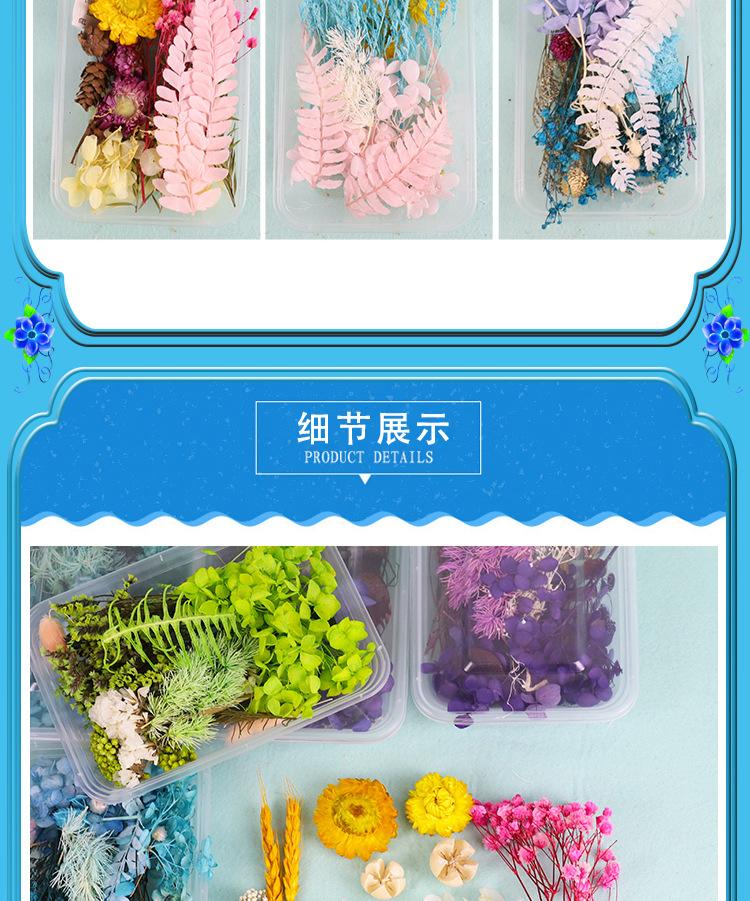 红详情_07.jpg