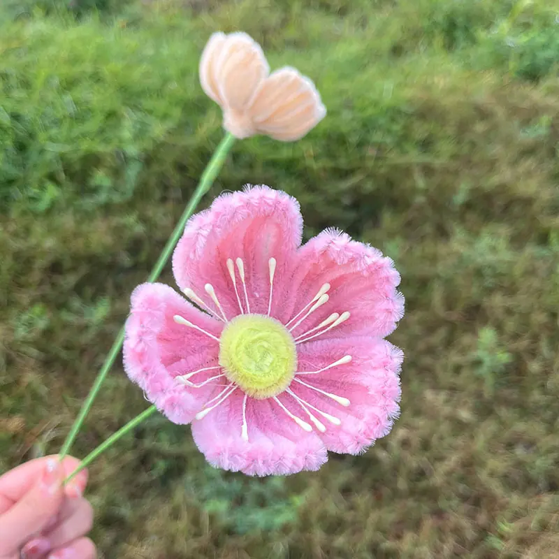 菟葵0123
