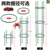 Suporte para Trepadeiras de Plantas Multi-Camadas Encaixável Suporte de Jardinagem Suporte para Pothos Haste de Suporte para Varanda Interna Suporte para Flores Externo