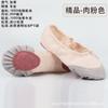 Zapatos de Baile para Niñas Zapatos Garra de Gato Princesa Niñas Suela Blanda Zapatos de Ballet Niños de Guardería Rosas Carnosos